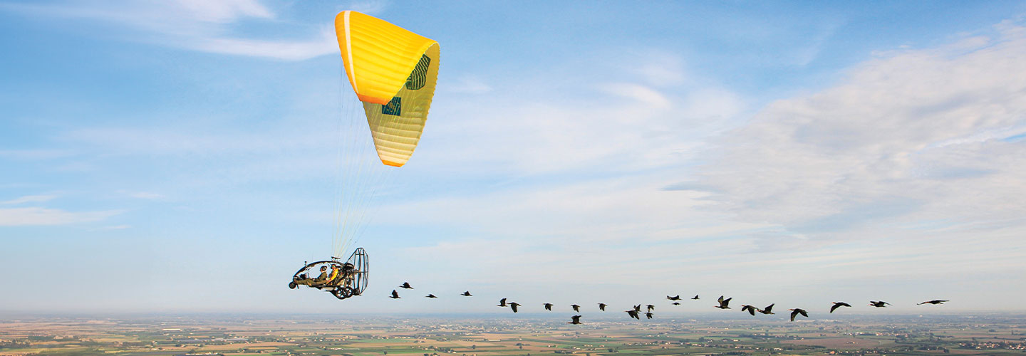 Photo of a human driving a flying machine through air as endangered birds follow